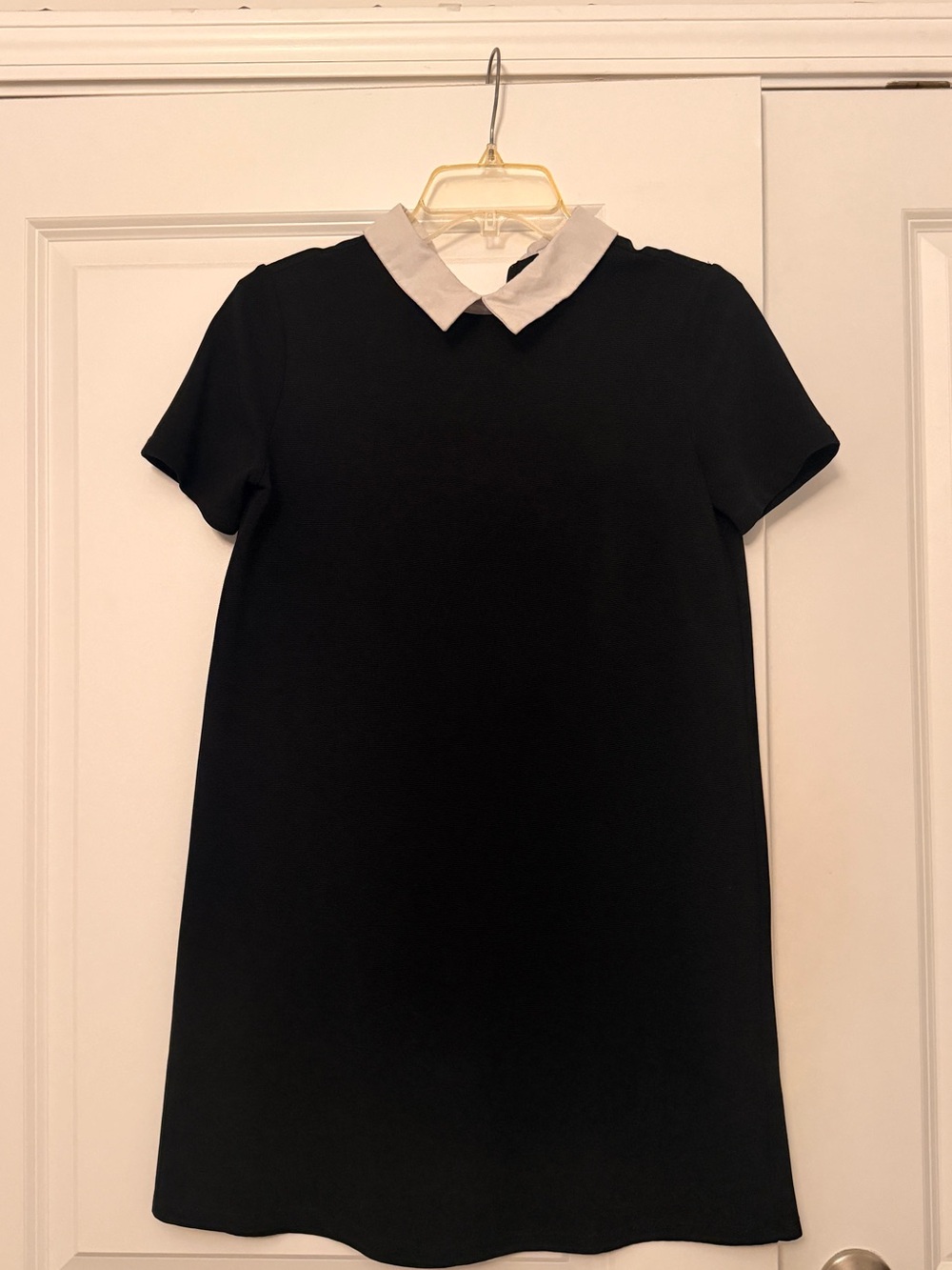 Zara Black Short Sleeve Top with White Peter Pan Collar